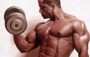 Salle de Musculation