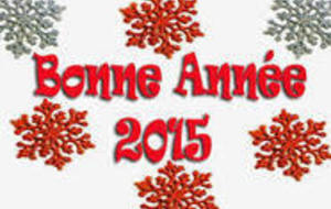 Bonne Année 2015