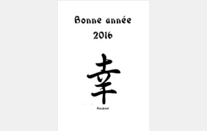 Bonne année 2016