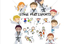 Stages Multisports vacances de Février