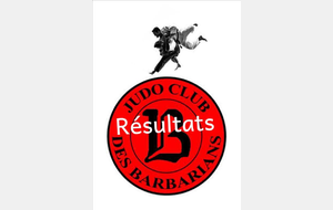 Résultats sportifs : 8 octobre 2017