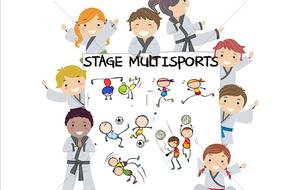 STAGE MULTISPORTS TOUSSAINT 