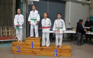 Résultats championnat de ligue Benjamin(e)s - 19/1/2017