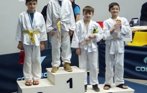 RESULTATS Tournoi de Vaulx Milieu