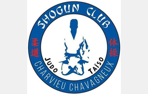 Tournoi de Charvieu