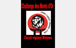 Tournoi de Limonest