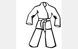 Commande groupée de kimonos Mizuno