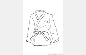 Commande groupée de judogis MIZUNO ( lien vers notre site)