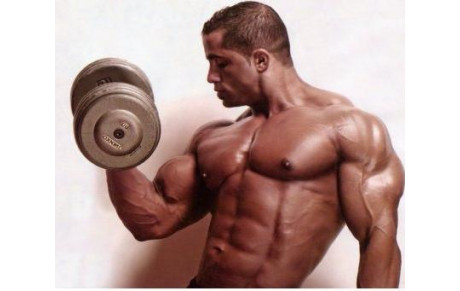 Salle de Musculation