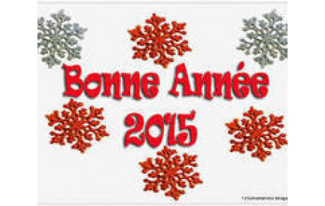 Bonne Année 2015