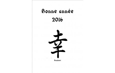 Bonne année 2016