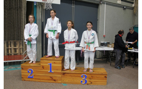 Résultats championnat de ligue Benjamin(e)s - 19/1/2017