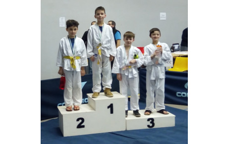 RESULTATS Tournoi de Vaulx Milieu