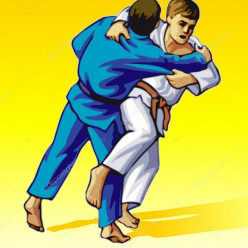 Soirée judo vacances. Programme dans l'invitation